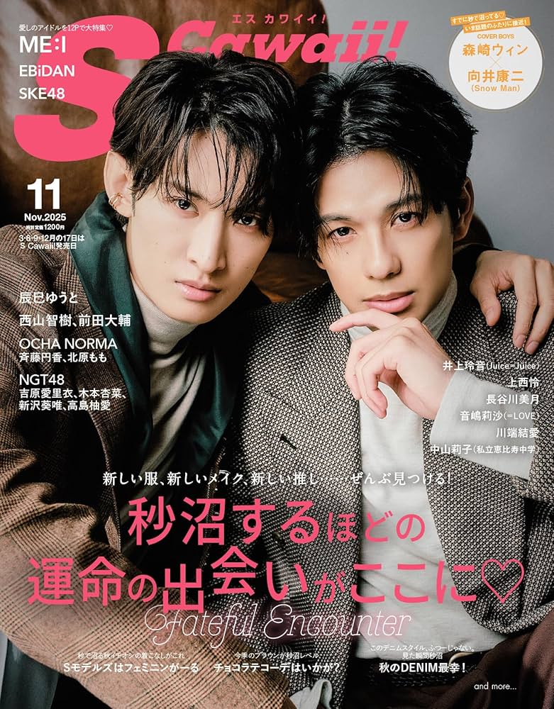 雑誌　梨花　2004年　11月号　S cawaii　エスカワイイ Scawaii！（エスカワイイ） 11月号 (発売日2012年10月06日